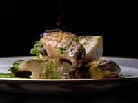 燕十 スペシャルコース