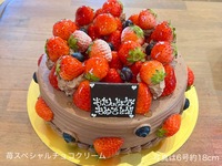 【12月10日受取分よりご予約可能】🍓苺スペシャルチョコクリーム🍓(7号21cm)8~10名様前後用【基本形】【税別9,466円】