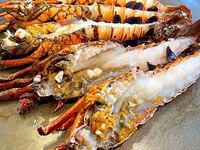 Ushio Teppanyaki & Eel Rice C Course