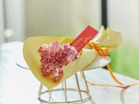 【母の日オプション】カーネーション1本束（ラッピングあり）