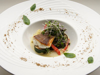 ディナー）Diner (旬の食材を楽しむ ディナーコース）夜 B