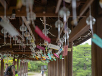 【6~8月】夏の京アフタヌーンティーセット「夏の果実と縁涼み」＋神苑チケット付