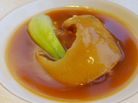 【6-8月】フカヒレ姿煮・黒毛和牛・北京ダック入りコース／飲み放題付 12,000円