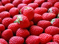 4/12＆4/13　12：30　苺のミルクレープ風パフェ