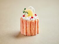 [Payment in store] Charlotte Pesch