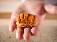 Special Annex Course