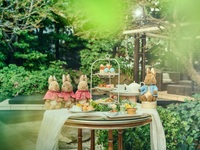 平日【カフェフリー付】『ピーターラビット™アフタヌーンティー～in Blossom Garden～
