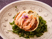 ◇四季彩コース（メイン：旬魚or魚介類or国産牛）　