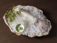 【土曜日、日曜日の夜限定】イカ活き造り＋飲み放題付き　玄海コース