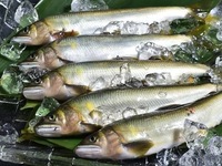 [Samedi 26 juillet, 12h00] Grand Maison★Oaf 6