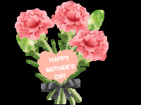 【ディナー】「母の日」 お祝いプラン（2日前までの要予約）