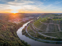 ドイツ5生産者ワイン&ビュッフェパーティ