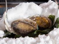 平日限定ステーキディナーコース【鮑】