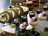 【期間限定開催】「BERRY MATCHO」 ブルーベリー・抹茶・チョコレートの饗宴！初夏のご褒美スィーツビュッフェ（幼児3-5才）