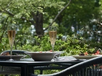 [EARLY SUMMER LUNCH COURSE] June 2nd to June 24th Early summer LUNCH course Terrace seat guaranteed plan 6,000 yen (LUNCH)