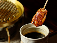 Charbroiled Chicken Skewers Course
