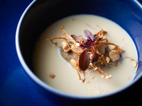 【Vegan】4-course lunch (special price)