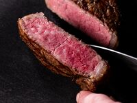 初夏のおすすめコース