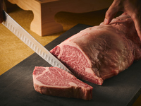 【Dinner】Voyage～大阪TIME～