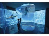 【 ビュッフェ | 土日祝日】マリンワールド入館券付き(幼児)