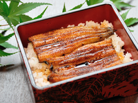 Grilled eel on rice (regular size)