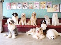 【プールイベント】パーティービュッフェ＆ふれあいプラン 