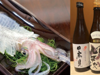 [Includes matcha tea in the tea room] Sushi Omakase course with Yobuko squid for one person + Silver pairing course with sake