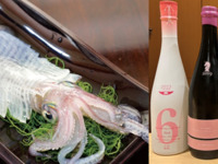 [Includes matcha tea in the tea room] Sushi Omakase course with Yobuko squid (1 cup per person) + Gold Sake pairing course