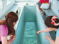 [11:00 departure] Glass boat tour for children (ages 6-12)