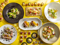  Semi Lunch Buffet 'Strings VIVACE' Adults - weekday