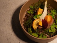 【LUNCH】Tasting Course 全5皿