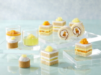 【Dinner 】Delicious Food Presentation　Adult Holiday ¥10,890with Service fee