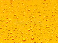 【夜】平日限定/飲み放題のみご予約 (席指定不可)