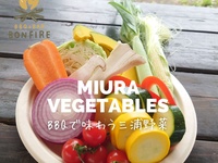 三浦お野菜セット（事前予約制）