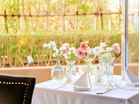 【お誕生日や記念日に】生花に彩られた特別席＆乾杯酒・ケーキがついた4品ランチコース～SEASON～