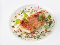 Dinner Kazahana　+1ドリンク