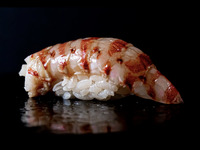 【昼】おまかせコース