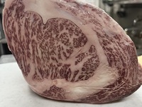 Special Omakase Course