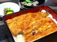 お昼の特うなぎこよみ