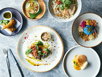 【Dinner】接待向け忘新年会プラン！飲み放題＋Casual Dinner Course 9000