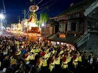 사하라의 대제 특별 디너 코스