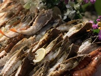 ICE, FIRE & ROAST CHILD. (7-12 years old)