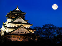 [October 6th (Mon.) Moon Viewing Dinner] A full course meal to enjoy autumn, followed by a garden dessert to admire Osaka Castle and the moon <with live music>