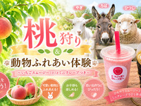 ★Pick 2 peaches + Animal encounter experience ~ includes strawberry smoothie and mini crepe~