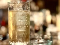 【ハイボール。それがすべて。】10種の銘柄ウイスキー×できたて強炭酸＝無限のうまさ＜120分フリーフロー＞