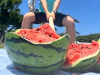 WaterMellonset
