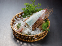 【比翔】活生生的刺身、盐烤黑喉鲈鱼、九州产和牛等共9道菜品