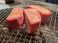 おまかせコース