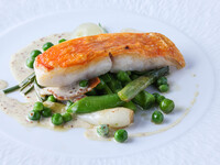 海の輝き Saveurs de la mer brillante 