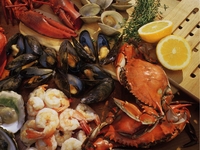 Churrasco Dinner 18 types